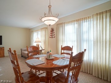 Meadows - Residential