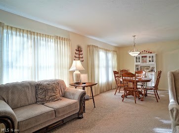 Meadows - Residential