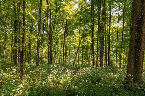 Tiny photo for 27339 Tabor Ridge Road, Caldwell, OH 43724 (MLS # 5245496)