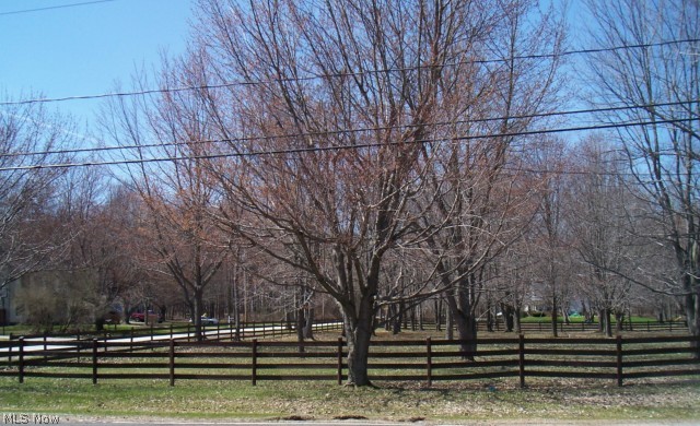 Build your dream home on this gorgeous level, wooded lot! There is 325' of frontage on Marsh Rd and 276' of frontage on Whit Avenue (a total 2.06 acres). Possible entrance to this lot on Marsh and/or Whit Ave. Directly across the street from Hunters Crossing, this lot is fenced and utilities are available at the street. Within easy walking distance to every amenity - shopping, restaurants & grocery stores! Public transportation is available at Marsh/Rt. 59 (Kent Rd), and just a few minutes drive to Kent State University! Two parcels make up 2.06 acres. (Parcels 56-16710 & 56-16711). Take a drive-by today!