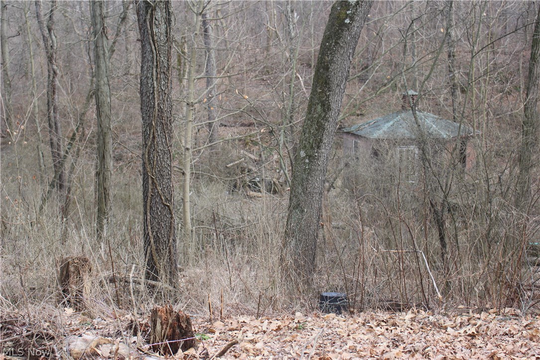 Wooster - Residential