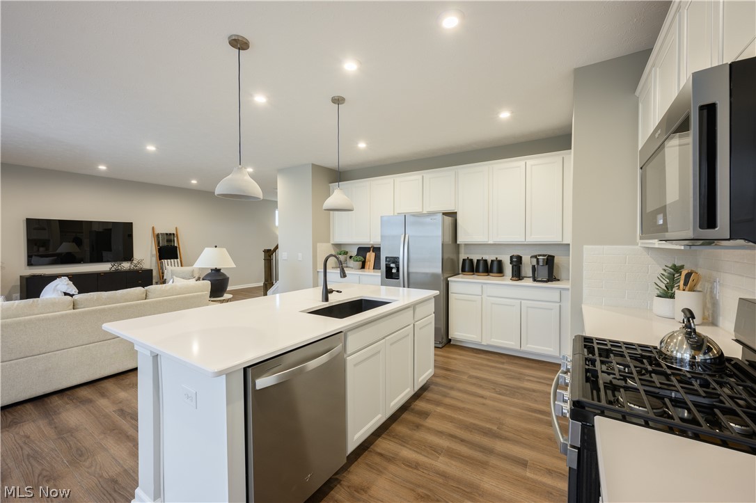 Preserve of Olmsted - Residential