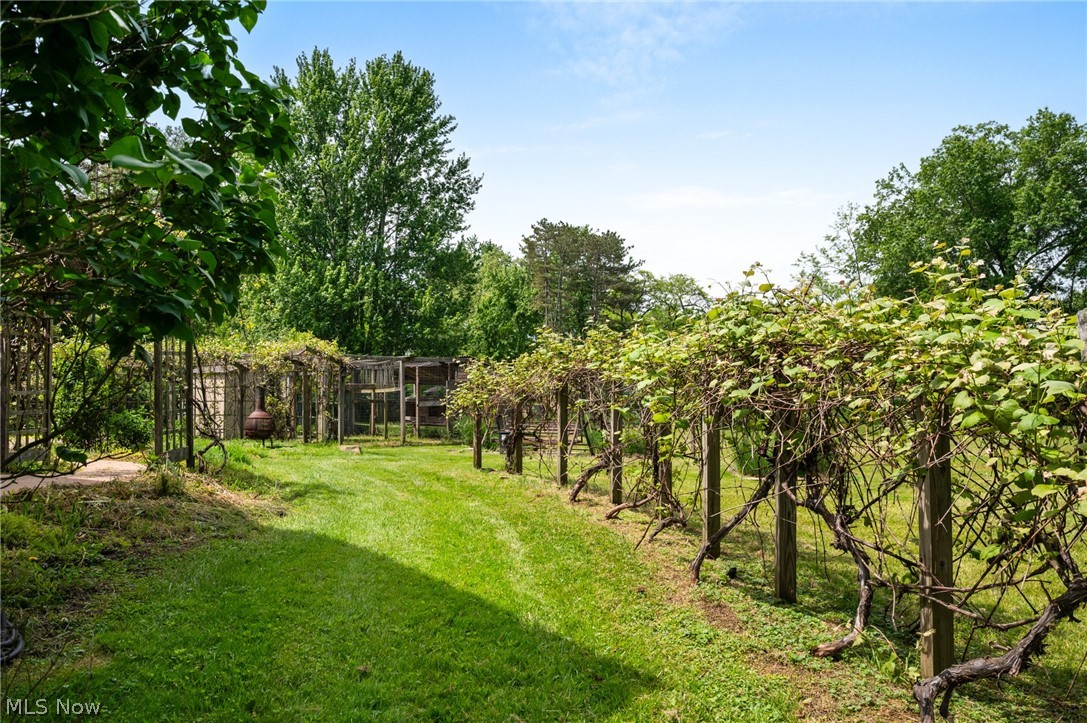 Olmsted 06 - Residential
