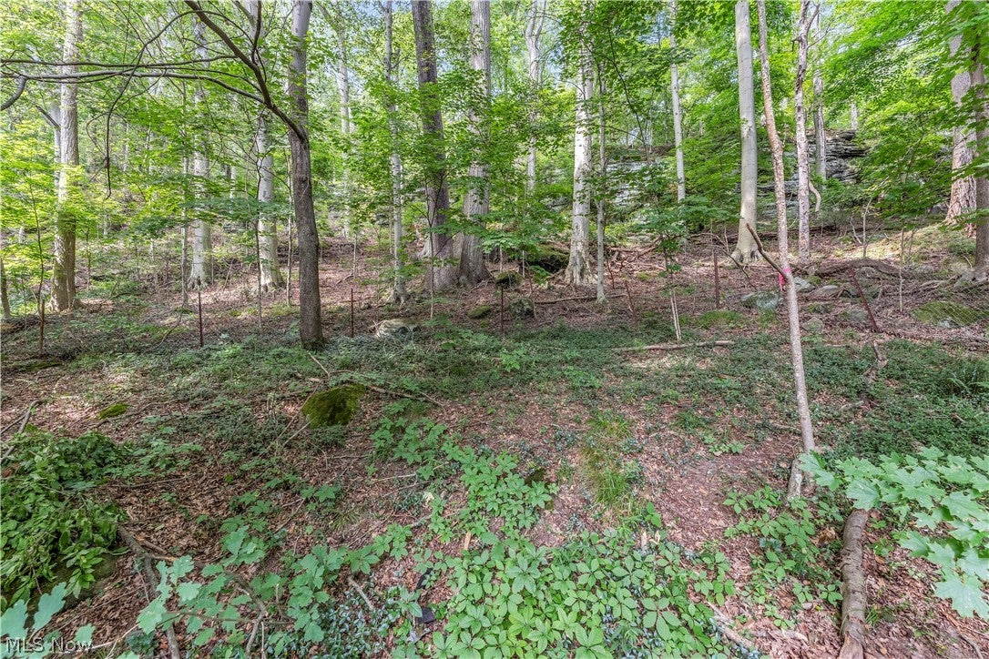 4723 Everett Road