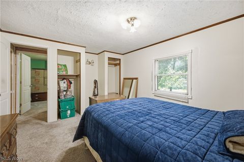 Tiny photo for 5018 Fairfield School Road, Columbiana, OH 44408 (MLS # 5221196)