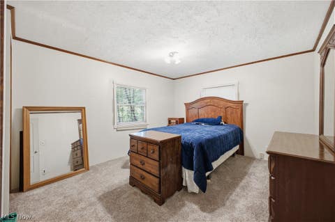 Tiny photo for 5018 Fairfield School Road, Columbiana, OH 44408 (MLS # 5221196)