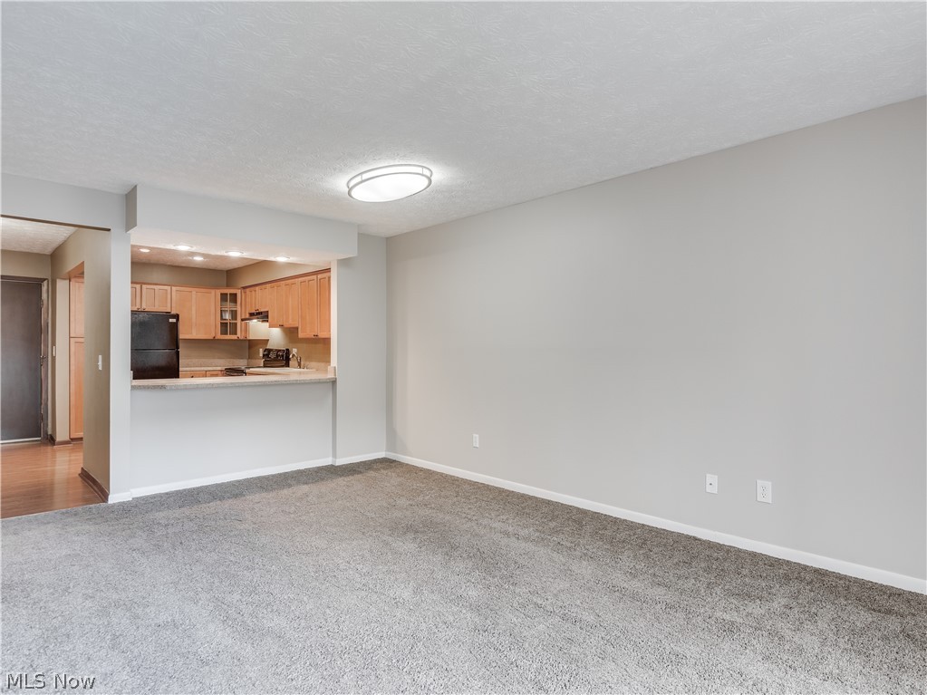 Hillsdale Rdg Condo - Residential