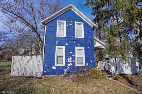 Tiny photo for 131 W Miller Avenue, Akron, OH 44301 (MLS # 5188426)