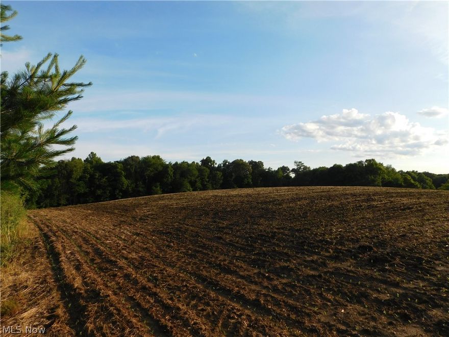 Beautiful three acre building site.  Great views from this ridge top property.  Good access to Millersburg, Killbuck and West Holmes.  New parcel to be created from parcel #06-00141.001. Field is currently planted with corn and will be harvested around the first of October.