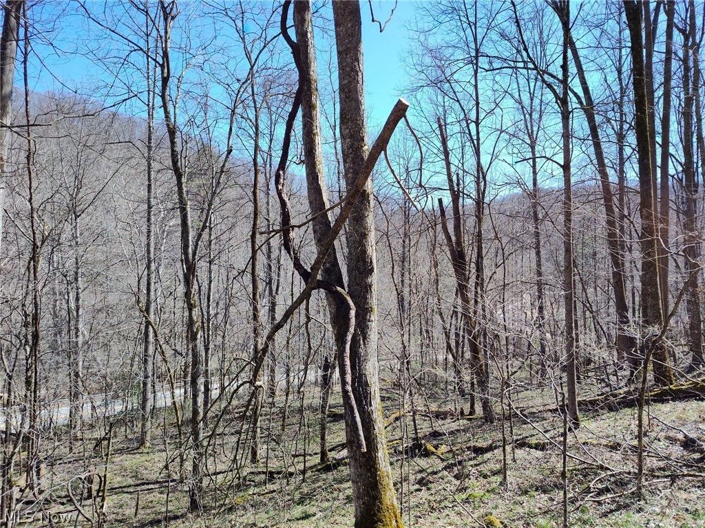 Route 119