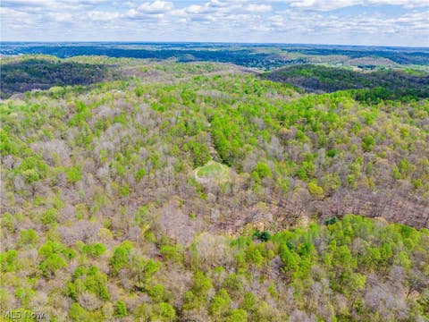 Vacant Land For Sale - Dennis Road<br/> Muskingum County, Zanesville, OH 43701