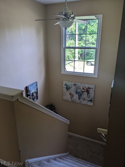 Cleveland Allotment - Residential