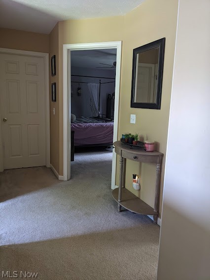 Cleveland Allotment - Residential