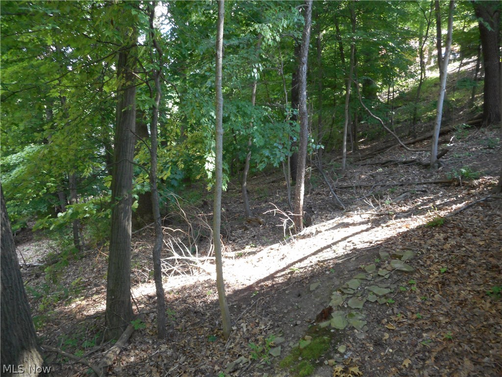 Merriman Woods - Residential