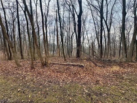 Tiny photo for Forest Lane, Nashport, OH 43830 (MLS # 5190537)