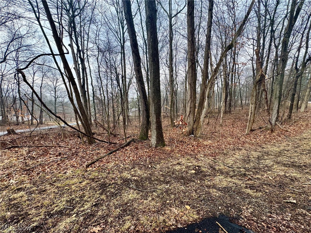 Cedar Hills Sub Sec 3 - Land