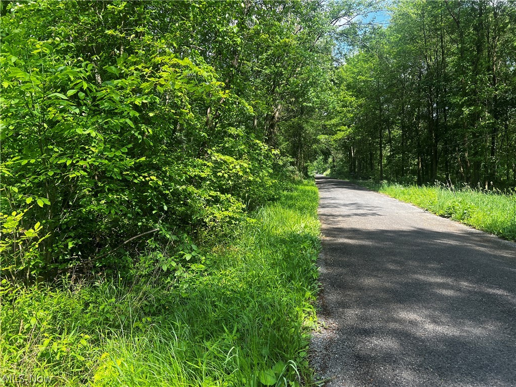 This recreational hunting property is more than just a hunting ground; it's a year-round sanctuary for outdoor enthusiasts. Excellent deer and turkey habitat with thick bedding area, natural funnels along the wetland areas, and wooded acreage. Easy access from major highways and nearby towns, ensuring a convenient yet secluded escape. Whether you're planning a solo adventure, a family getaway, or a hunting trip with friends, this property promises unforgettable experiences and cherished memories. Immerse yourself in the tranquility of nature, revel in the thrill of the hunt, and create lasting bonds with fellow hunters and nature lovers.