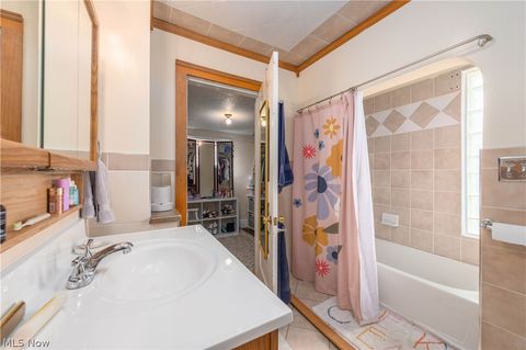 Tiny photo for 123 Harwood Street, Elyria, OH 44035 (MLS # 5187865)