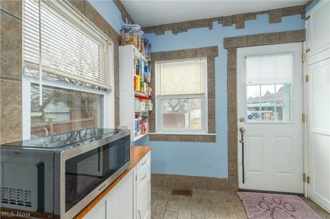 Tiny photo for 123 Harwood Street, Elyria, OH 44035 (MLS # 5187865)