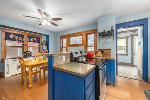 Tiny photo for 123 Harwood Street, Elyria, OH 44035 (MLS # 5187865)