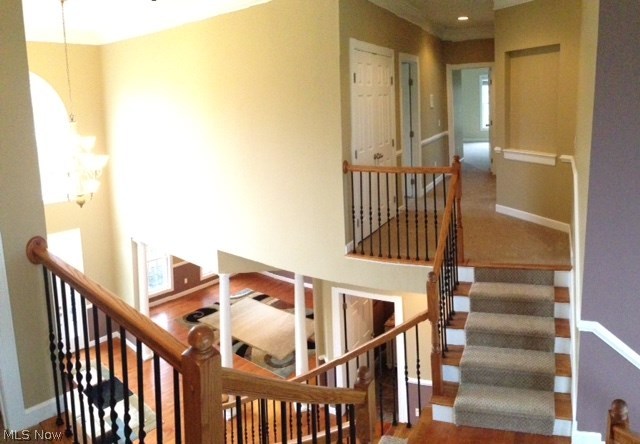 Signature of solon - Residential