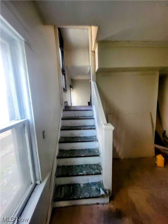 Cody Campbell Euclid Ave - Residential