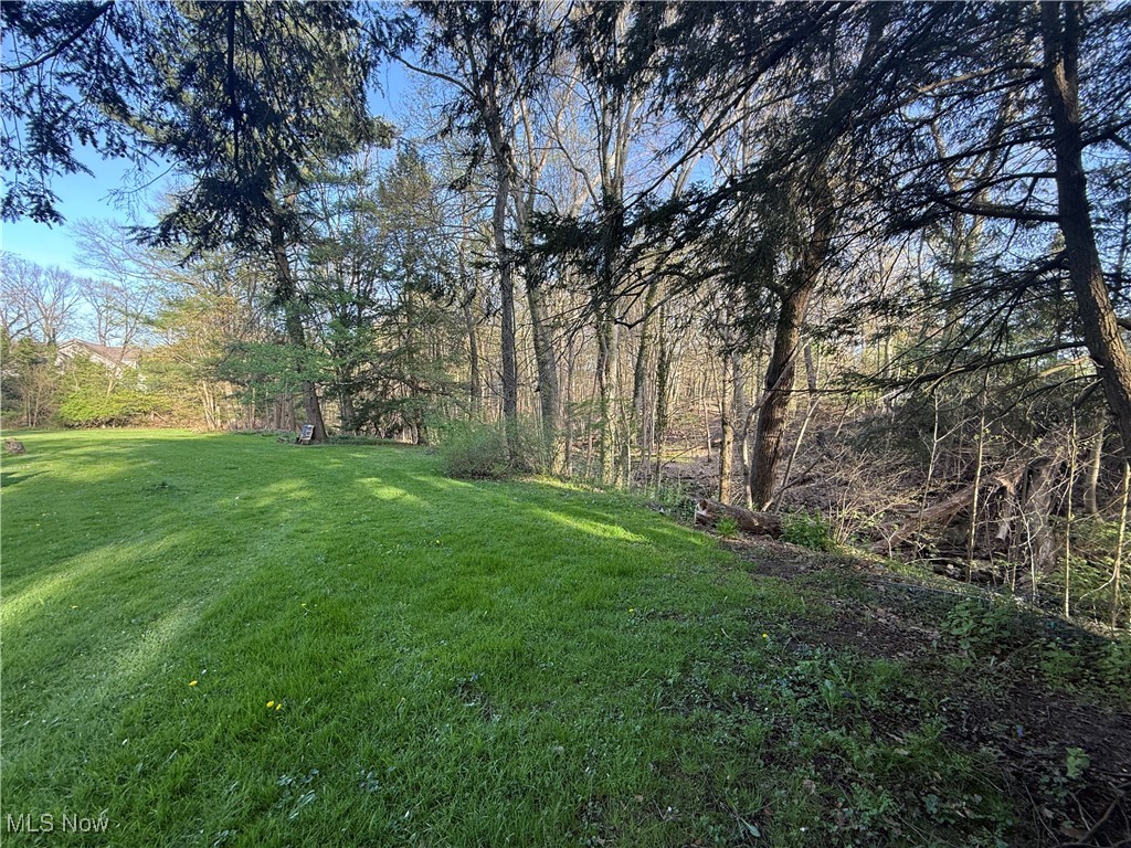 1851 Bears Den Road, Youngstown, Ohio image 35