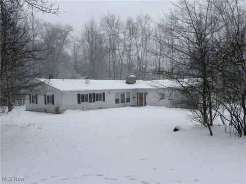 17083 Woodmere Drive Chagrin Falls OH 44023