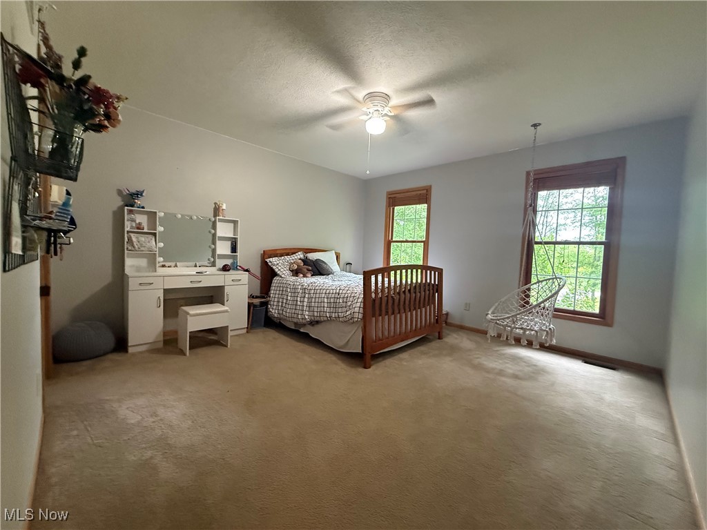 647 Benedict Leavittsburg Road, Leavittsburg, Ohio image 33