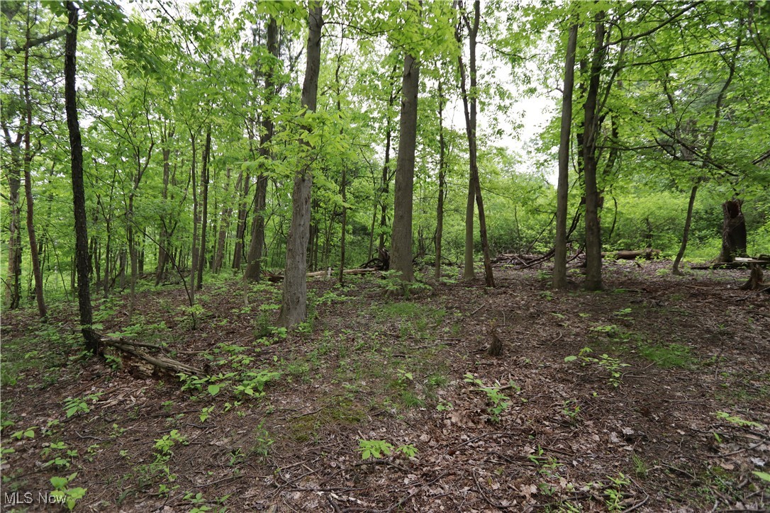 Clarkwood Drive, Chardon, Ohio image 16