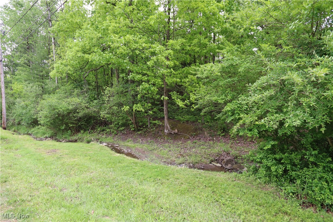 Clarkwood Drive, Chardon, Ohio image 7