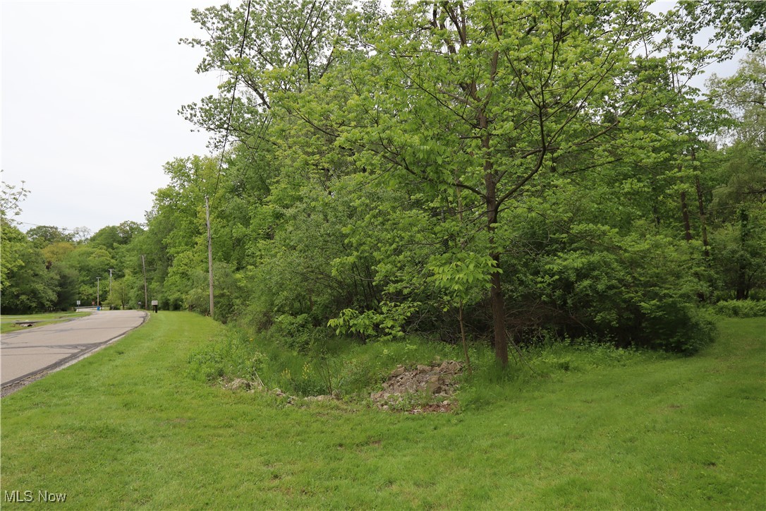 Clarkwood Drive, Chardon, Ohio image 5