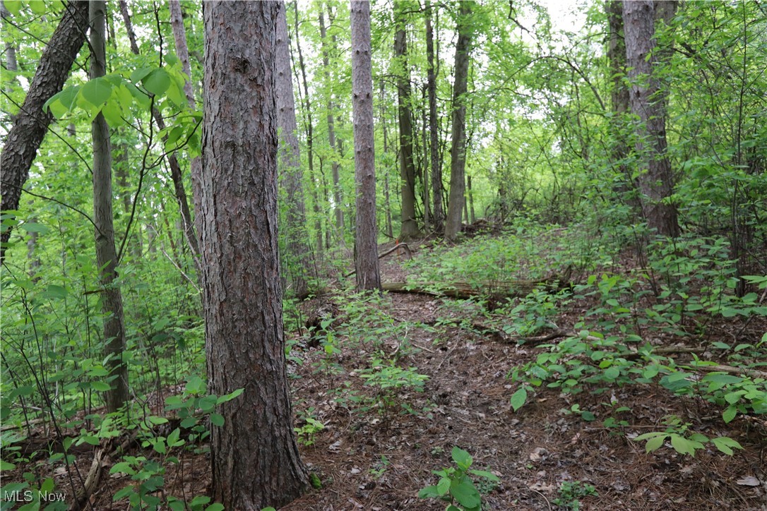 Clarkwood Drive, Chardon, Ohio image 14