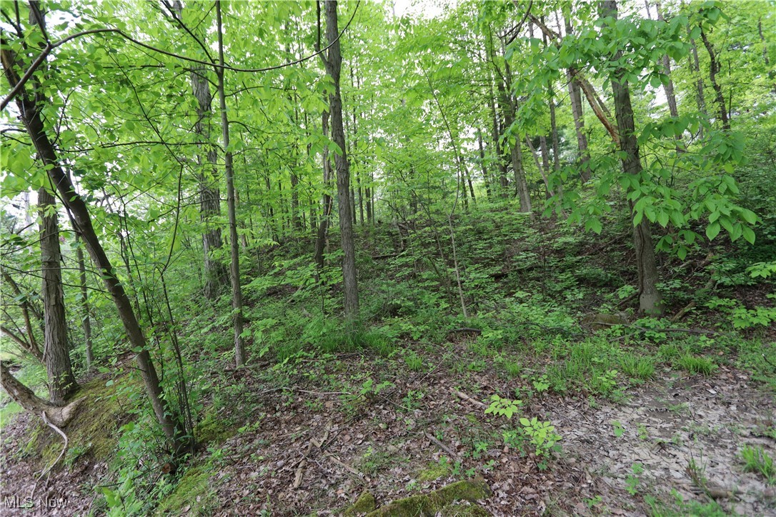 Clarkwood Drive, Chardon, Ohio image 10