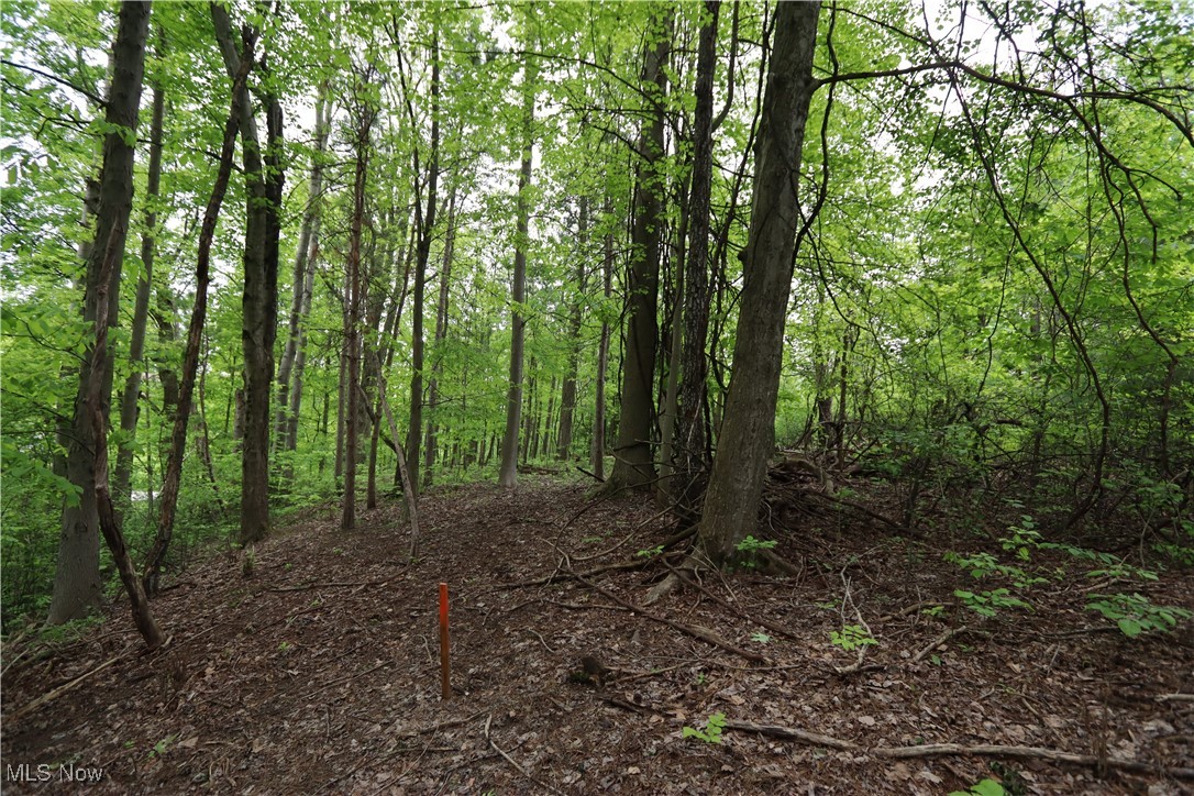 Clarkwood Drive, Chardon, Ohio image 15