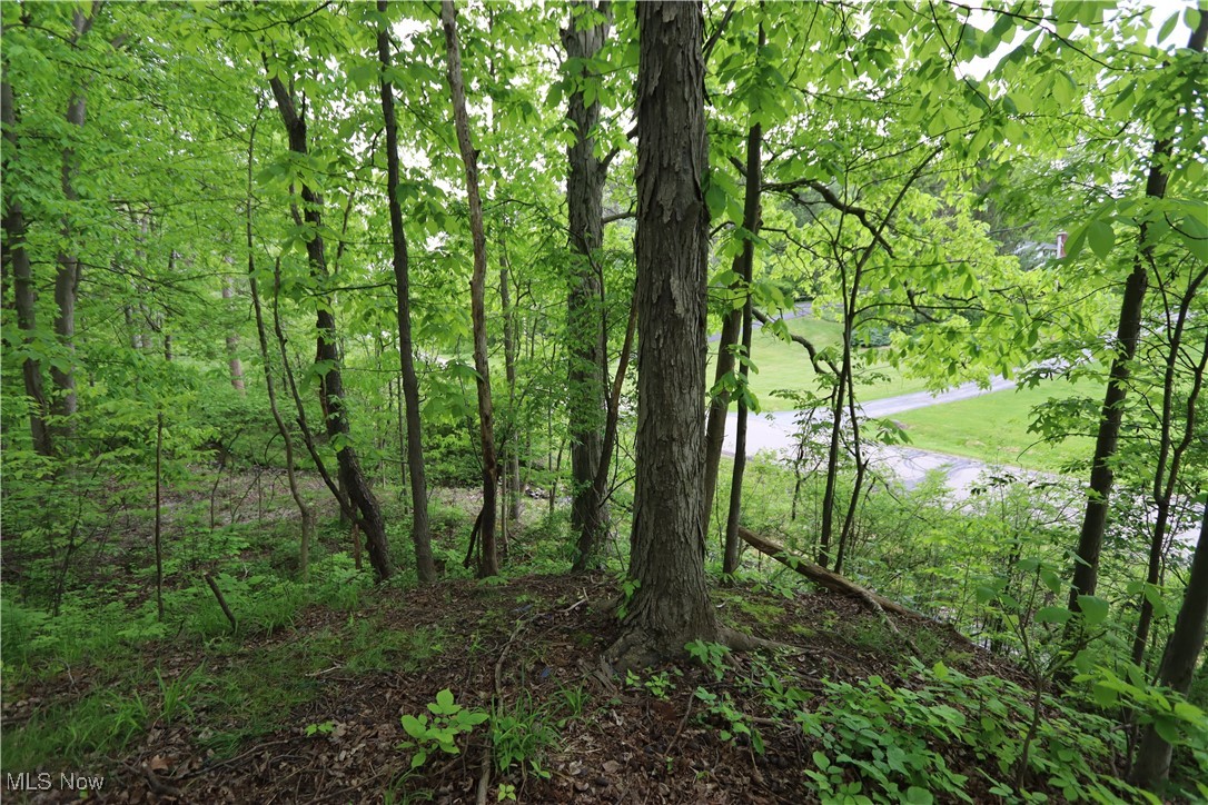 Clarkwood Drive, Chardon, Ohio image 21