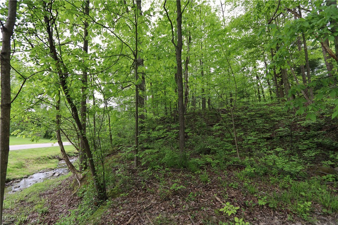 Clarkwood Drive, Chardon, Ohio image 11