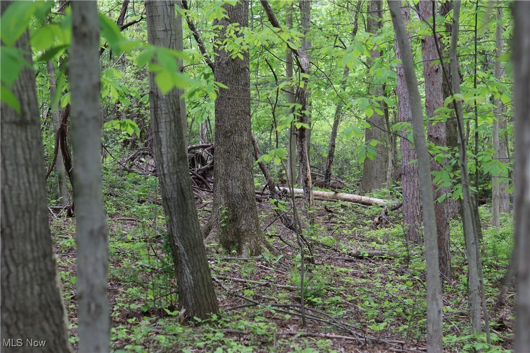 Clarkwood Drive, Chardon, Ohio image 18