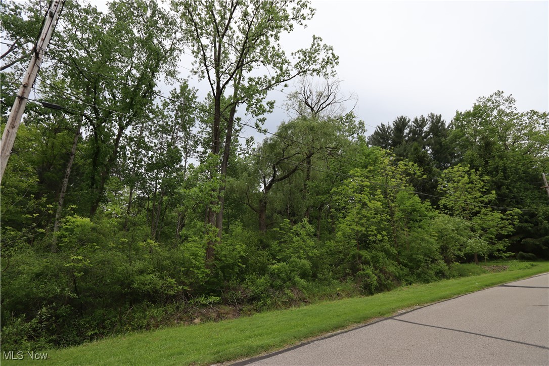 Clarkwood Drive, Chardon, Ohio image 6