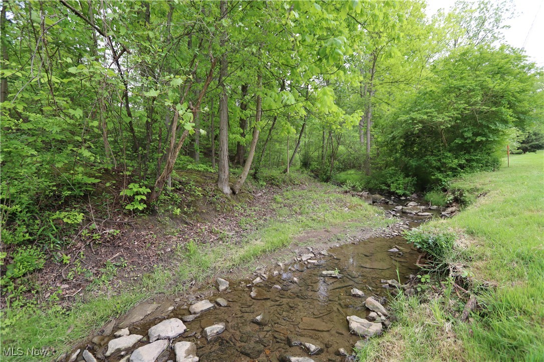 Clarkwood Drive, Chardon, Ohio image 9