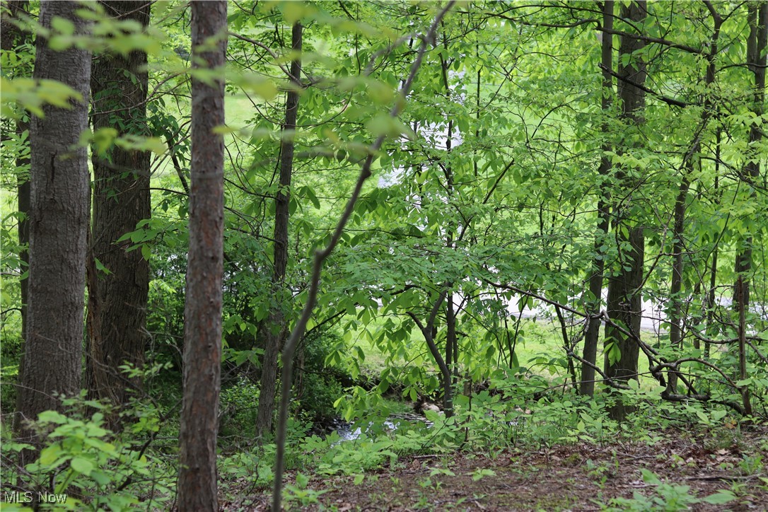 Clarkwood Drive, Chardon, Ohio image 17