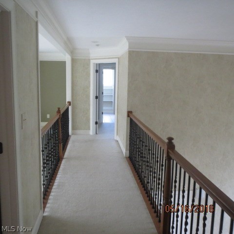 King's Forest - Residential