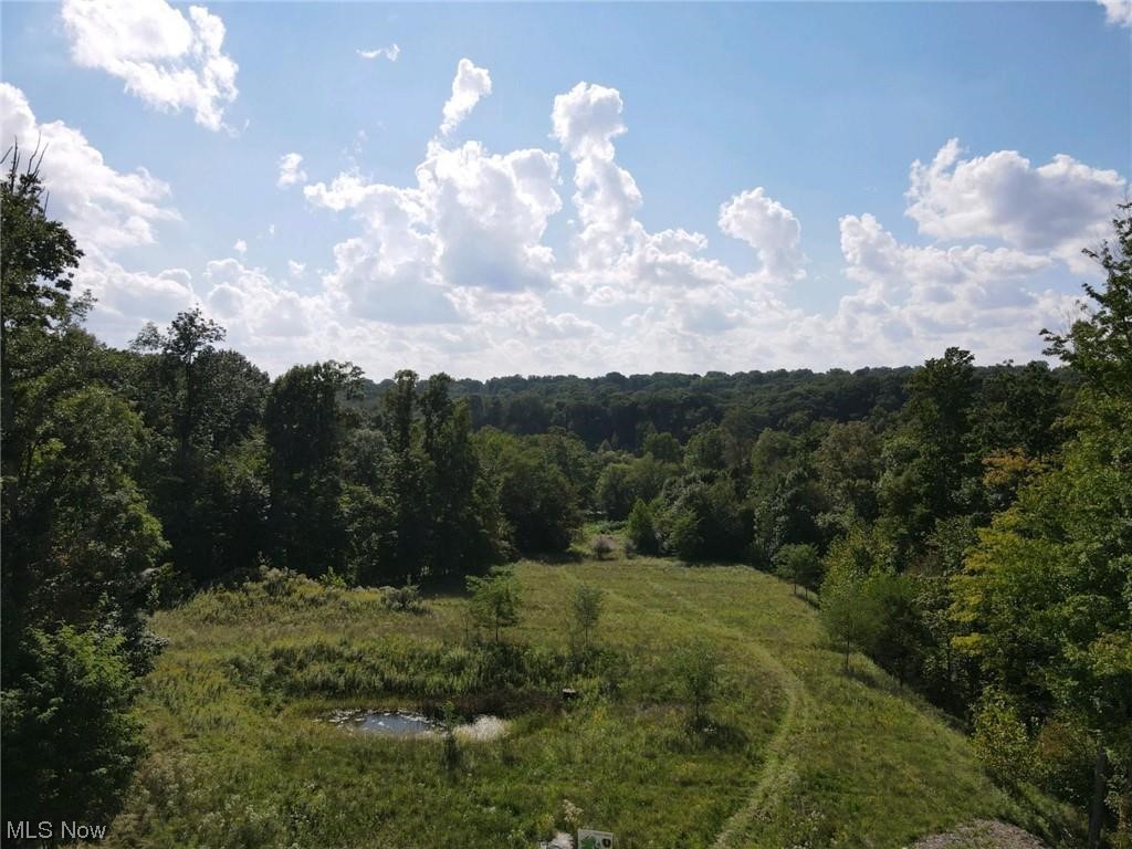 Lochwood Glen #1, Wooster, Ohio image 3