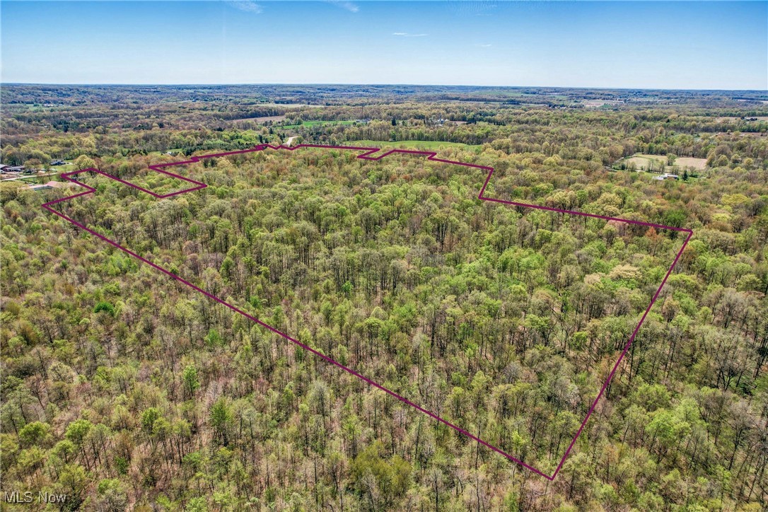 W Western Reserve Road, Canfield, Ohio image 8