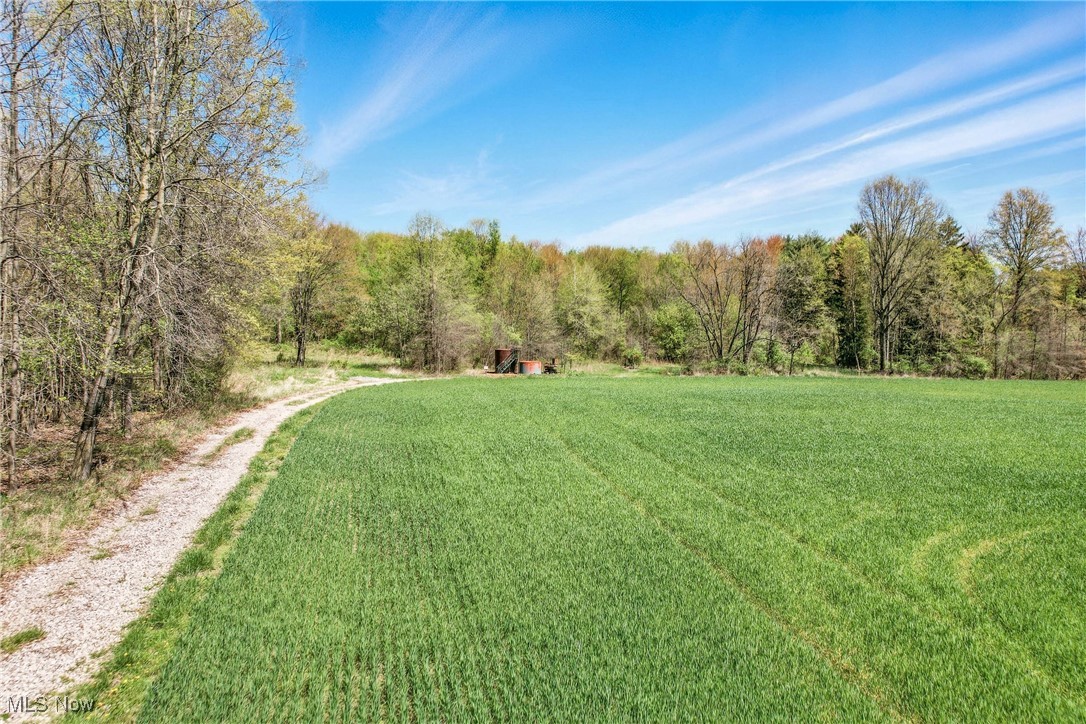 W Western Reserve Road, Canfield, Ohio image 20