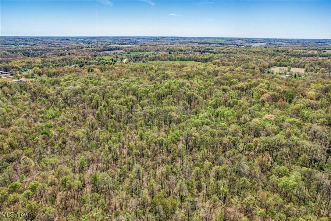 W Western Reserve Road, Canfield, Ohio image 9