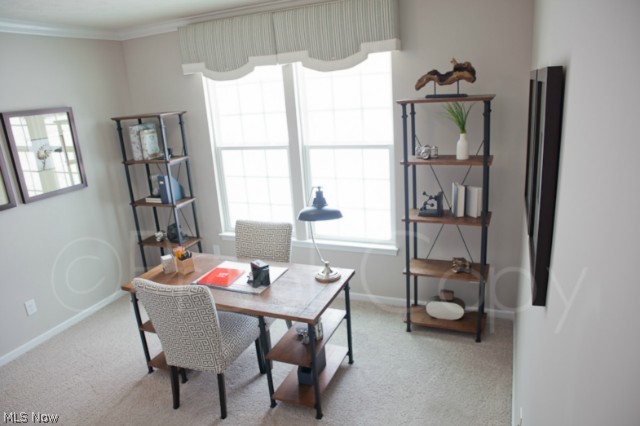 Halsted Village - Residential