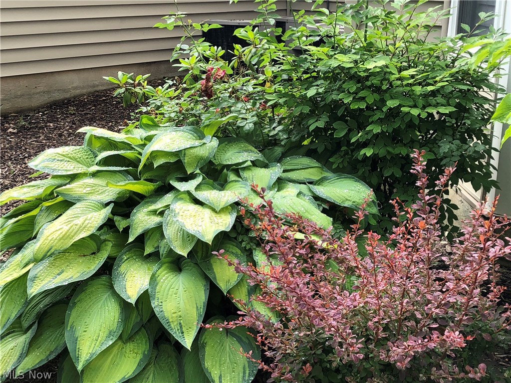 Portage Path Estates - Residential