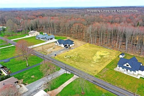 Vacant Land For Sale - King Graves Road<br/> Trumbull County, Warren, OH 44484