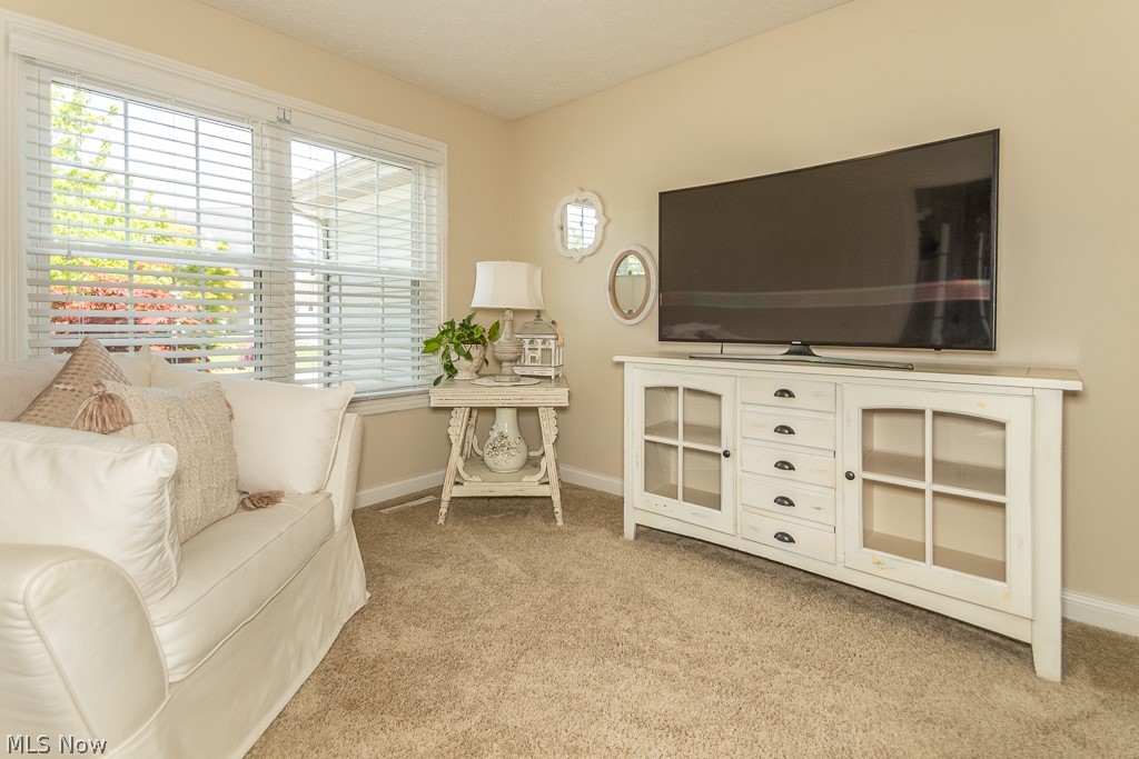 Villas At Macintosh Farms - Residential